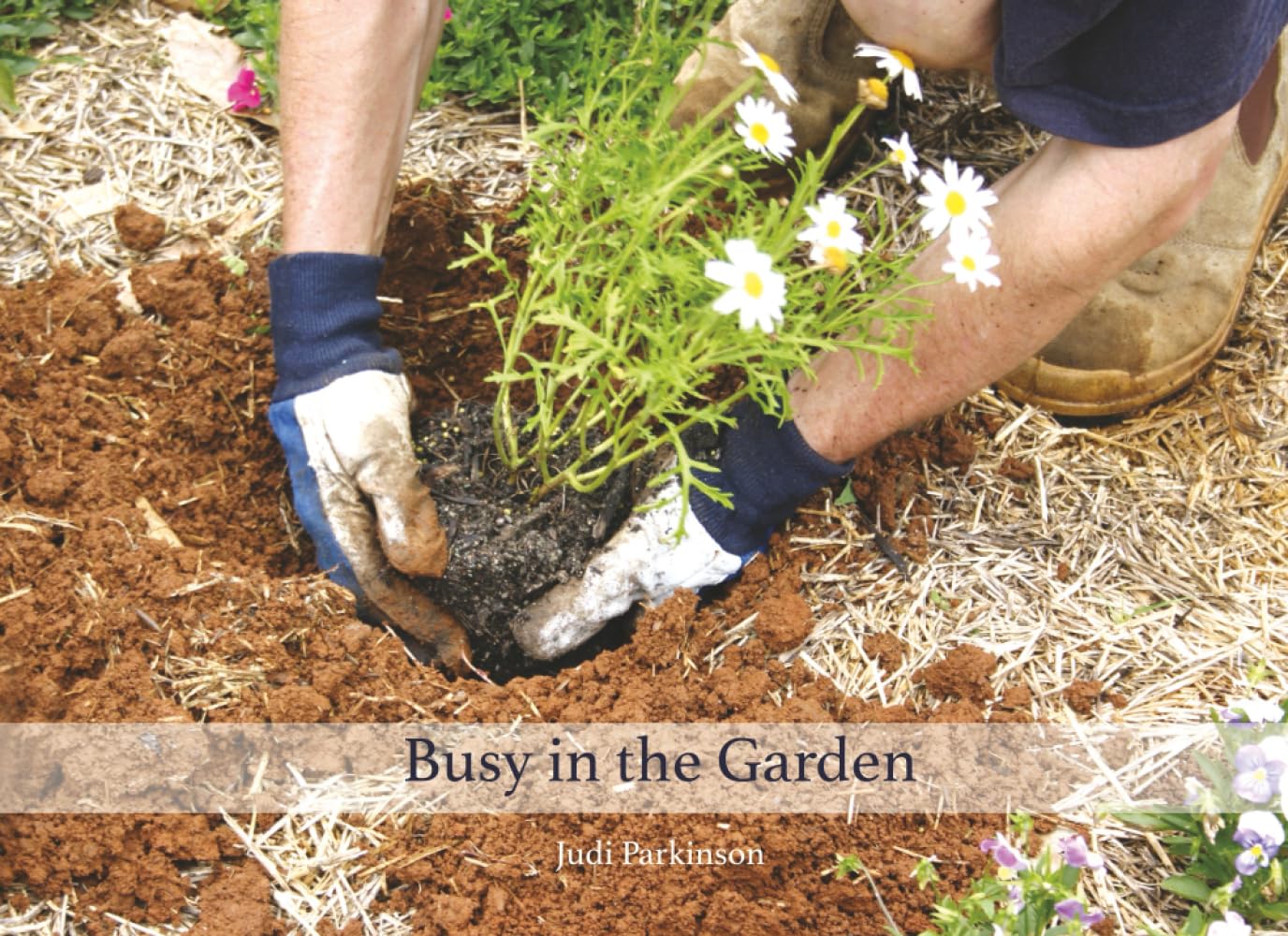 Busy In the Garden: A Share-Time Picture Book for Reminiscing and Storytelling (Picture Books for people with Alzheimer's or Dementia)