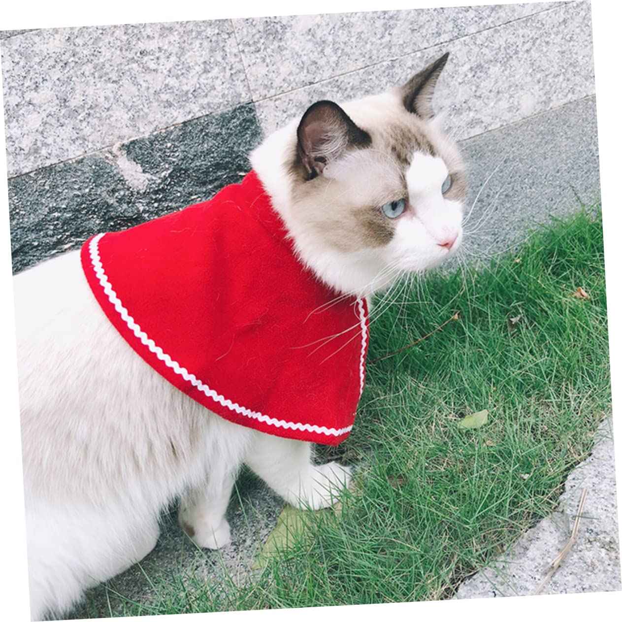 HMJGDHX 6 Pezzi di Vestiti per Animali Domestici di Natale Mantello per Cani Costume Divertente per Animali Domestici Vestiti Cosplay per Festa di Cappello per Cucciolo di Cane
