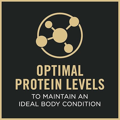 Vista 194 de Purina Pro Plan SAVOR mezcla triturada con probióticos para perros adultos - comida seca