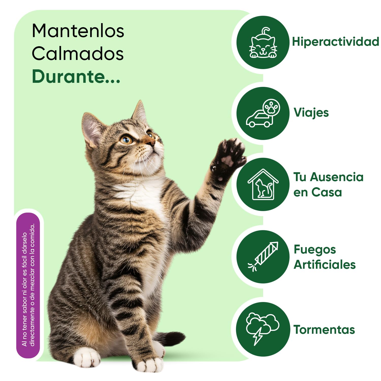 animigo Calmante para Gatos en Comprimidos Masticables - Antiestrés Natural para Gatos Nerviosos, Estrés por Cambios, Viajes o Veterinario - Relajante con Taurina, Pasiflora y Ashwagandha