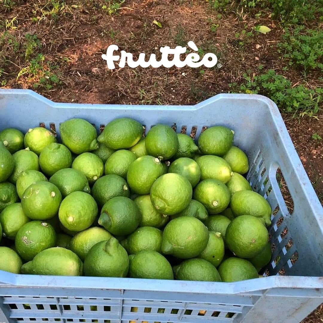 Limone Fresco 7 KG verdello Prodotto non Trattati Prodotto in sicilia Spedito 12/24 ore dalla raccolta (7KG) CALIBRO MISTO