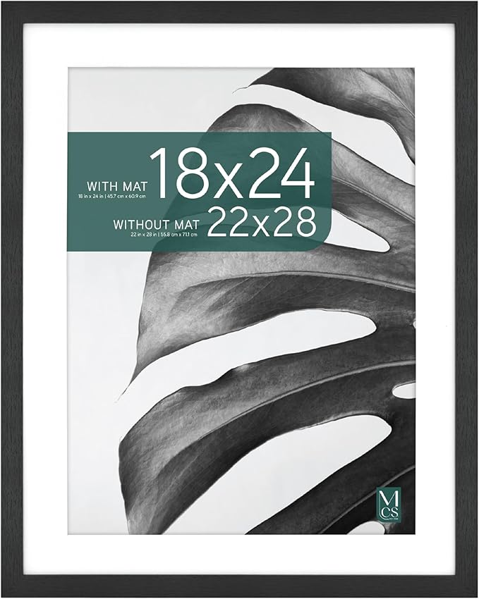 MCS Studio Gallery 22x28 Matted to 18x24 Poster Frame Black Woodgrain, Vertical & Horizontal Wall Hanging Large Picture Frame for Photos, Posters & Art Prints (1-Pack)