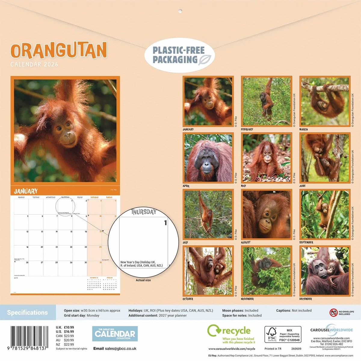 Orangutan – Orang-Utan 2026 – Wand-Kalender: Original Carousel-Kalender [Mehrsprachig] [Kalender]