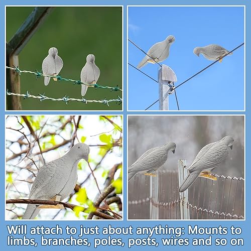 Miniatura 7 de Honoson Clip on Dove Decoys 3D Animal Pigeon Bait Decoy Dove Hunting Gear and Accessories for Outdoor Indoor Courtyard Archery Slingshot Shooting