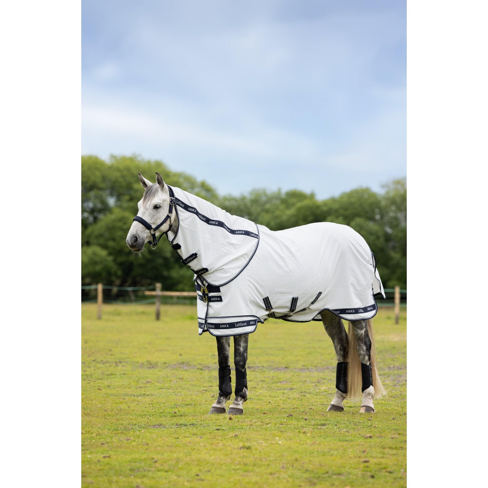 LeMieux Arika Field Rug - White 4ft9