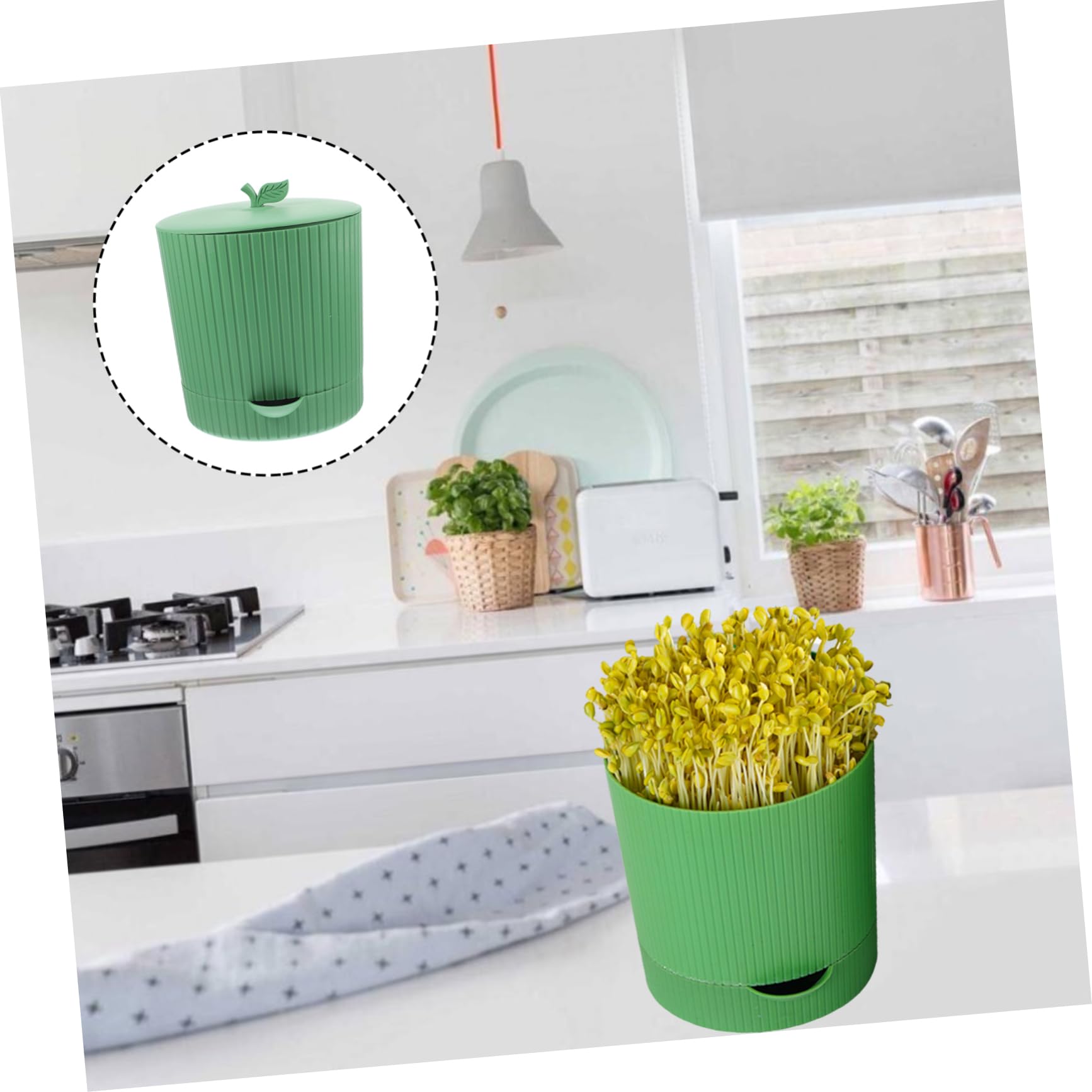 Toddmomy Germoir pour Graines à Germer, Plateau de Germination Réutilisable en PP et Pierre, Sortie D’Eau, pour Haricots Mungo la Maison