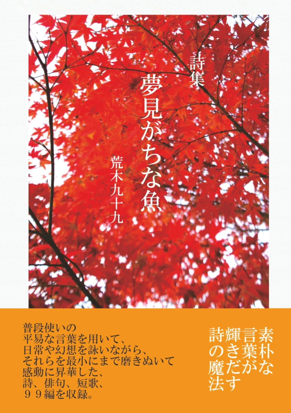 Amazon.co.jp: 荒木九十九: 本、バイオグラフィー、最新アップデート