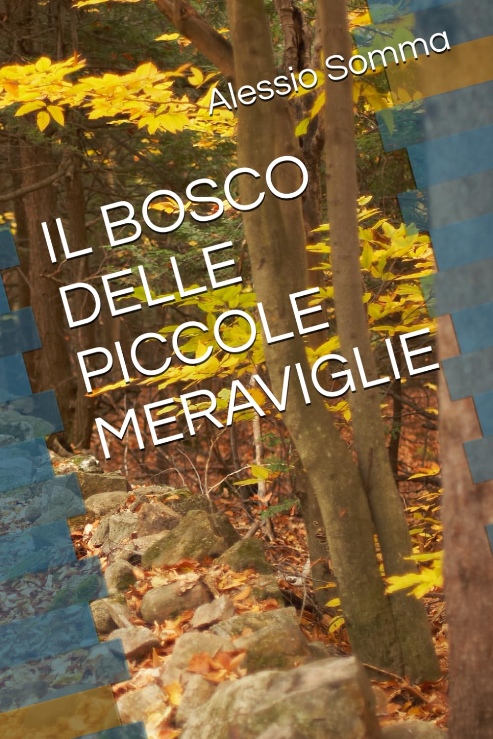 IL BOSCO DELLE PICCOLE MERAVIGLIE