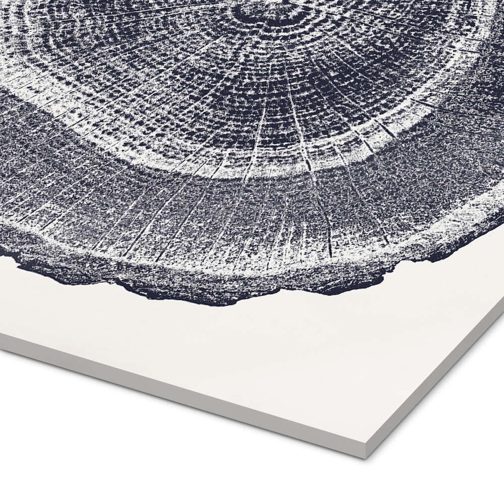 Posterlounge Cernes de l'arbre I Tableau en verre acrylique