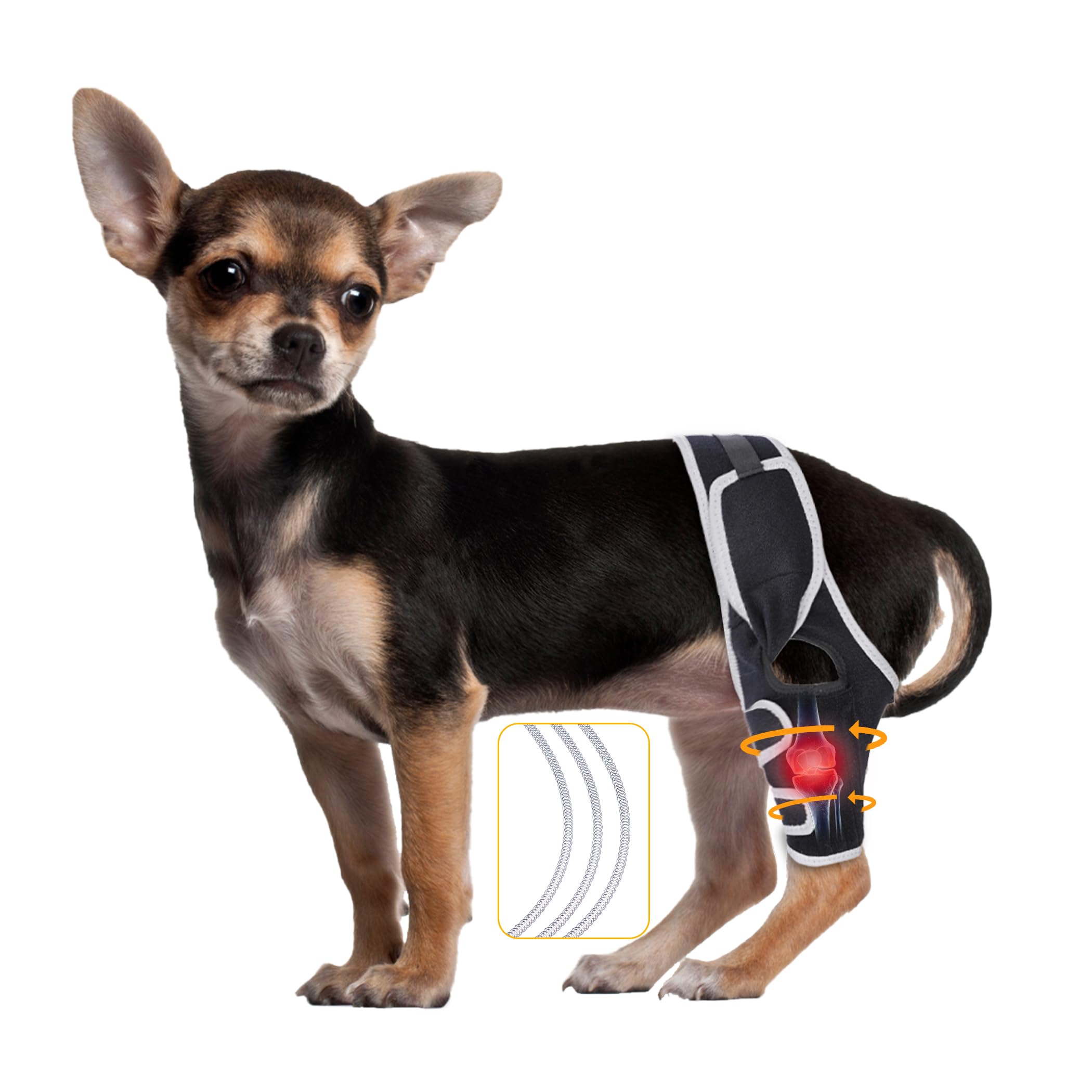 Attelle de jambe pour chien contre la douleur de déchirure ligamentaire ACL CCL