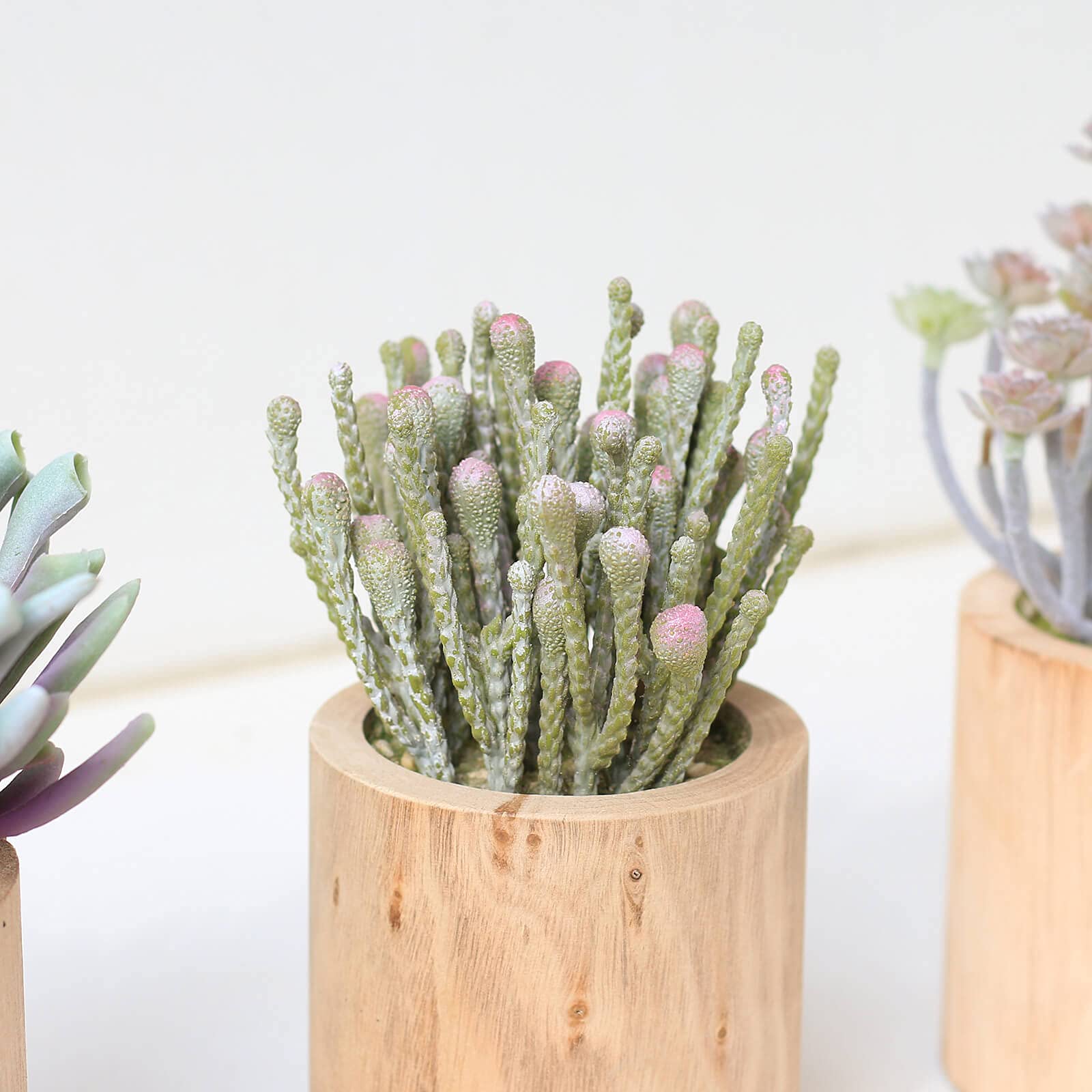 Snapklik Com Succulents Plants Artificial Faux Succulents In Pots Photo Inspiration