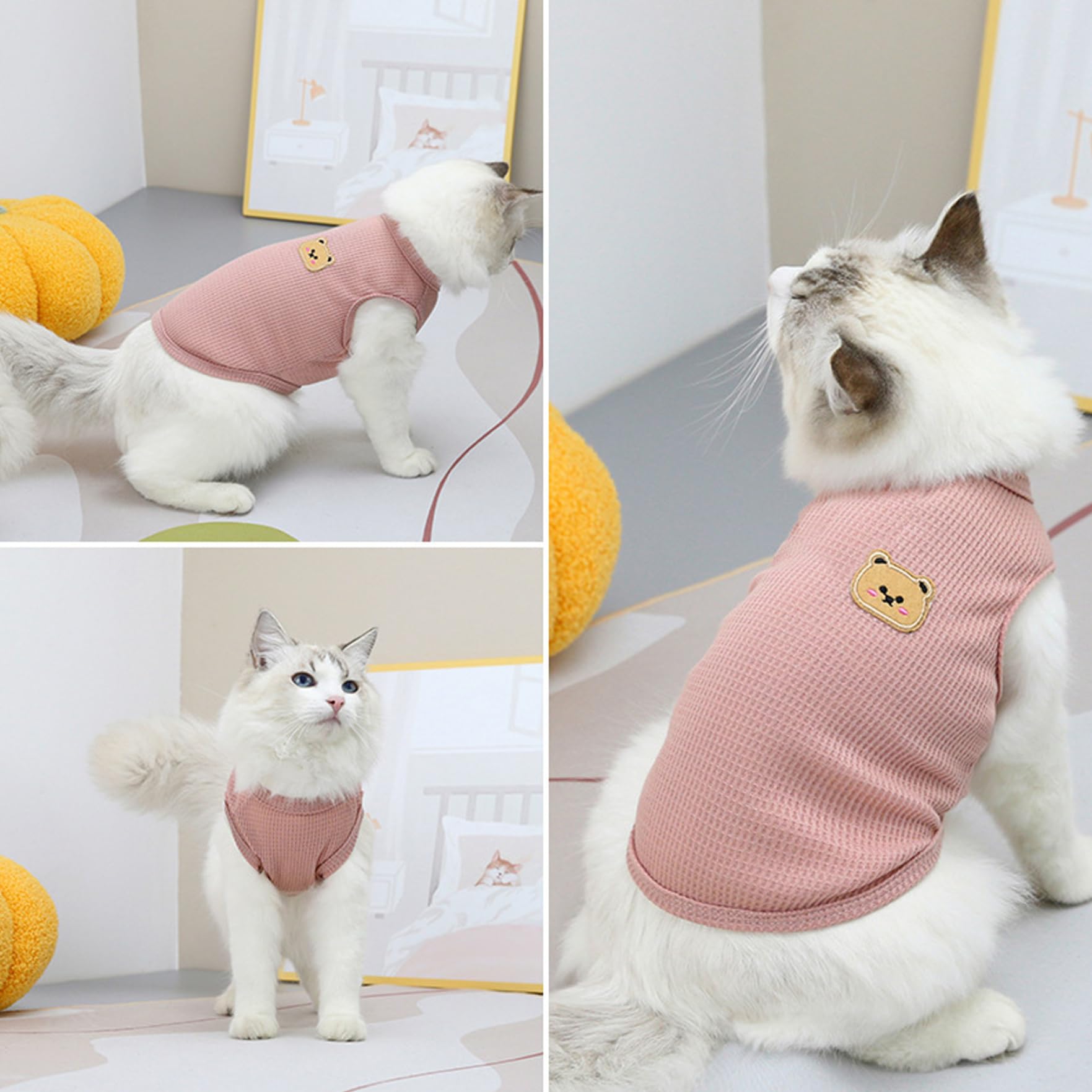 View 4