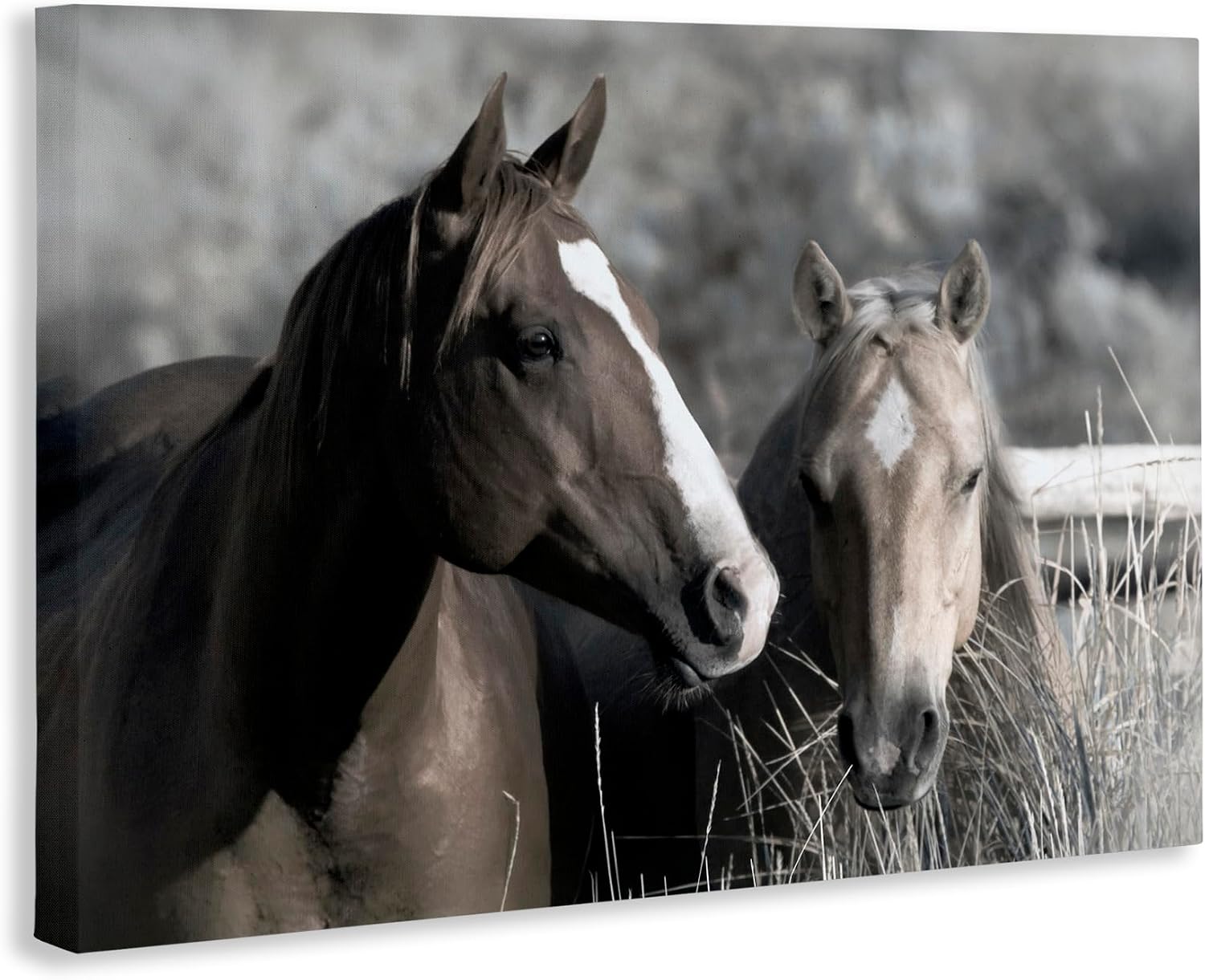 'Content Horses In Pasture'| Canvas Art | Stupell Industries | 30 x 20 Inches, Easy to Hang and Sturdy, Made in USA, by Danita Delimont