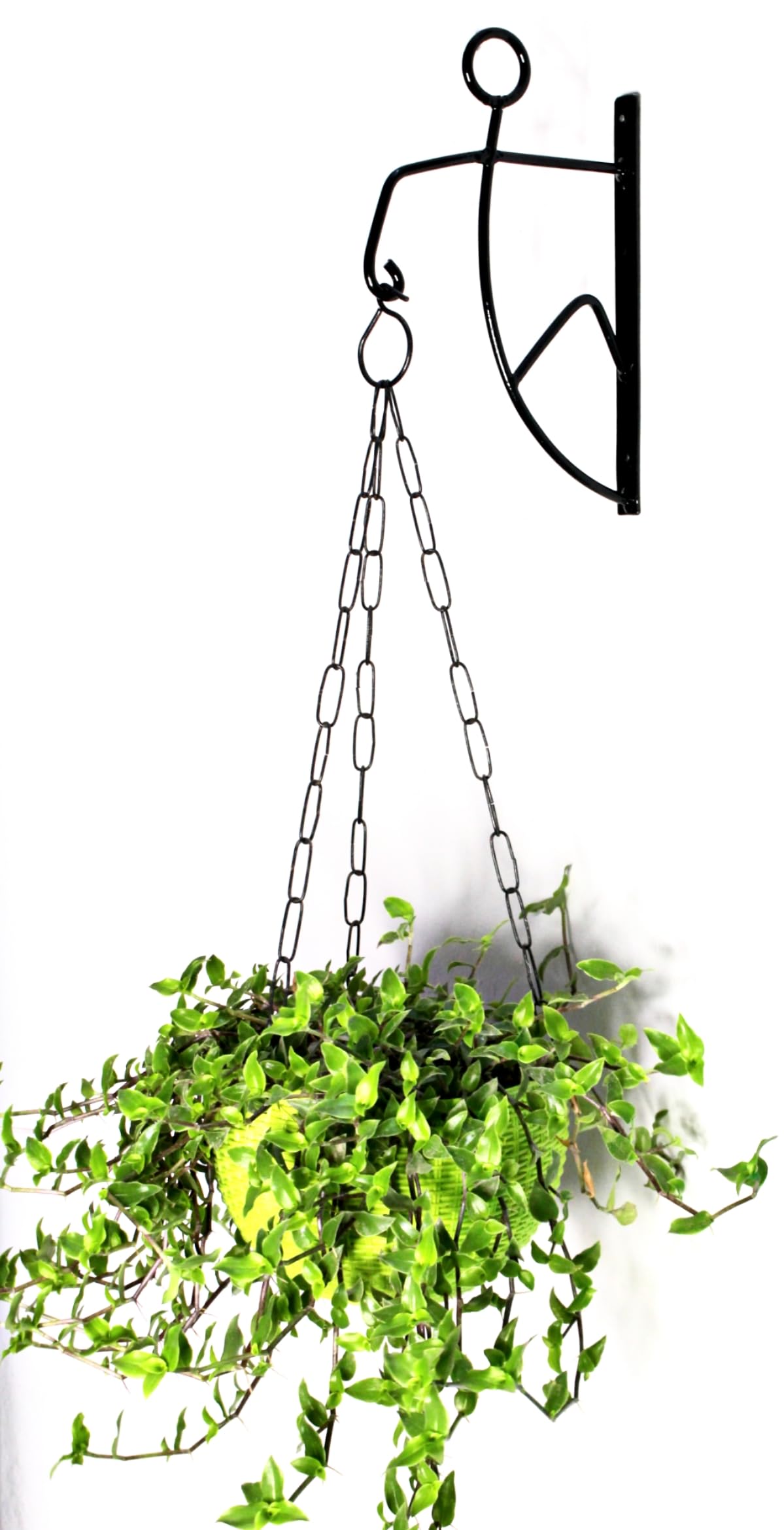 INSIGNIA DECOR Metal Plant Hnager Hooks for Home and Garden Plant Holder Bracket Key Hanger Lantern Holder (Pack of 1, Black)-image-3
