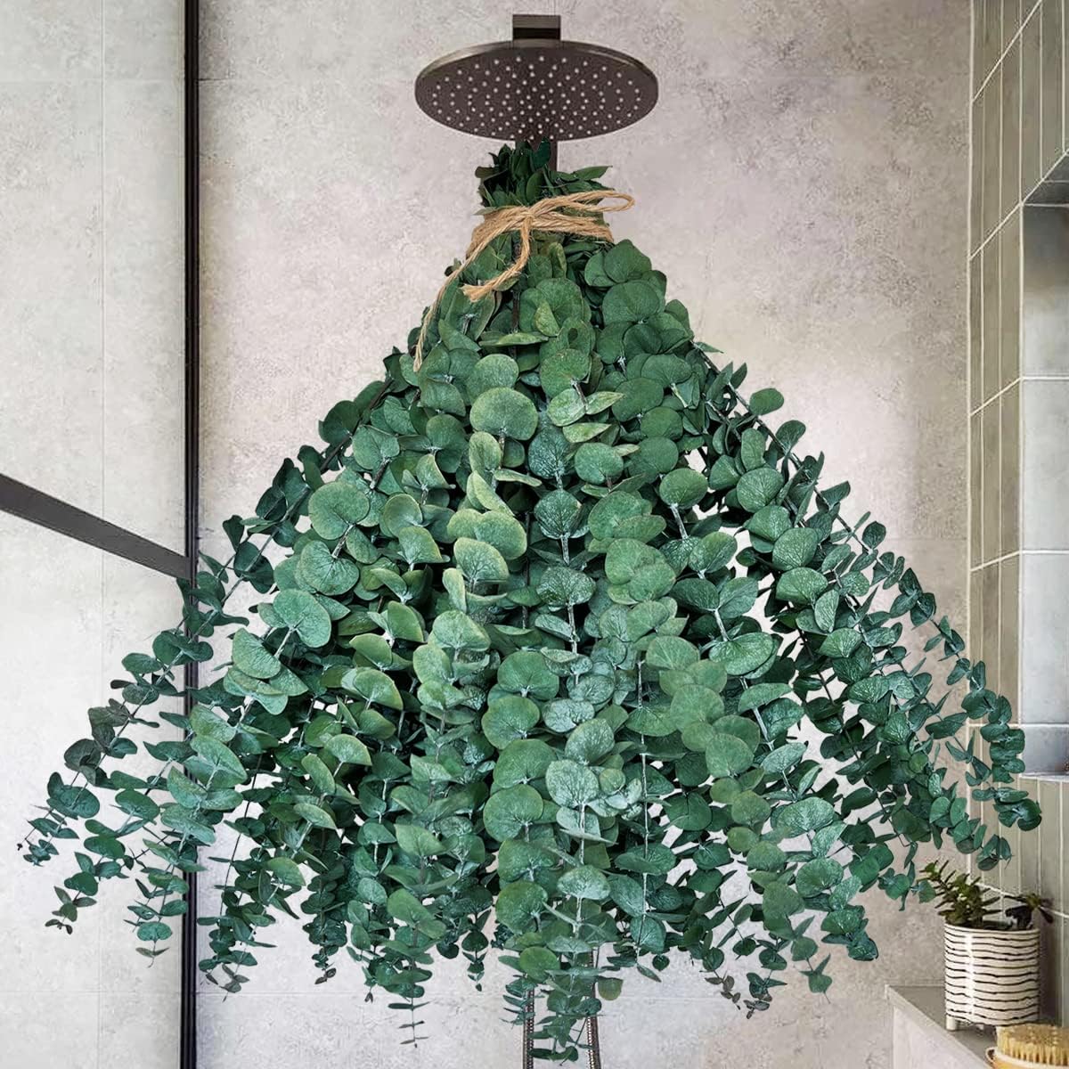 30 PCS Preserved Dried Eucalyptus Stems Bundle, 17" Natural Eucalyptus Leaves, Real Eucalyptus Branches Plant for DIY Shower Spa Wedding Party Home Office Floral Arrangements Decor