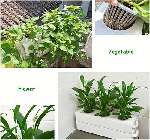 Miniatura 5 de Kit de cultivo hidropónico de 6 plantas para plantar verduras, hierbas, bayas, cesta de plantas de 3.7 pulgadas (D)*3 (H) pulgadas sin bomba de agua