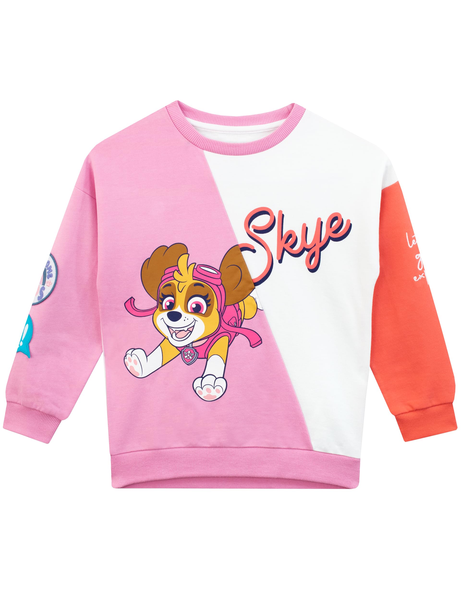 Paw Patrol Girls Multicolour Skye Jumper - Sweatshirt For 18-24 Months