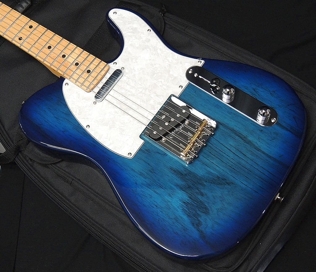 Amazon | Fujigen フジゲン FGN FUJIGEN NTE10MAH SBB Neo