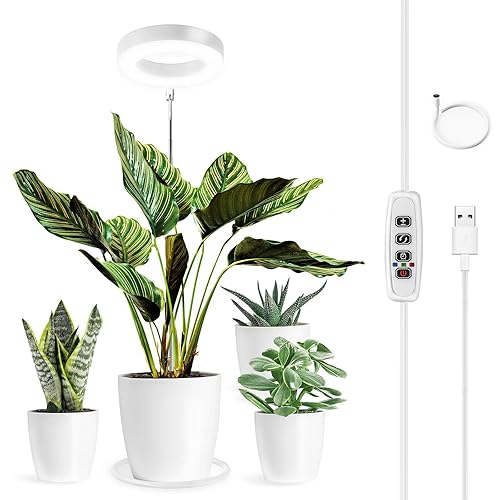 Can LED Grow Lights Cause Eye Damage? The Truth About LED Grow Lights