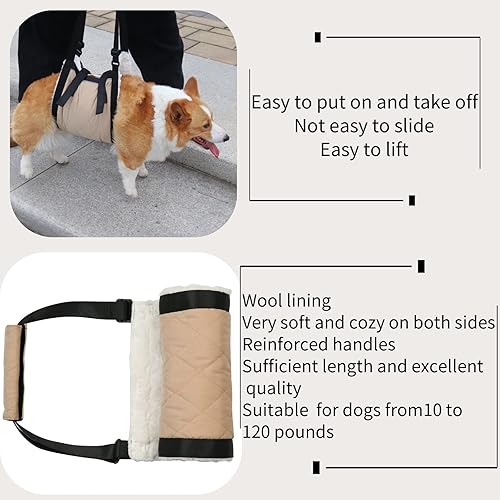 Miniatura 6 de Arnés de elevación para perros mayores con asa que ayuda a los caninos ancianos a discapacitados, para perros mayores, rodillera delantera o trasera