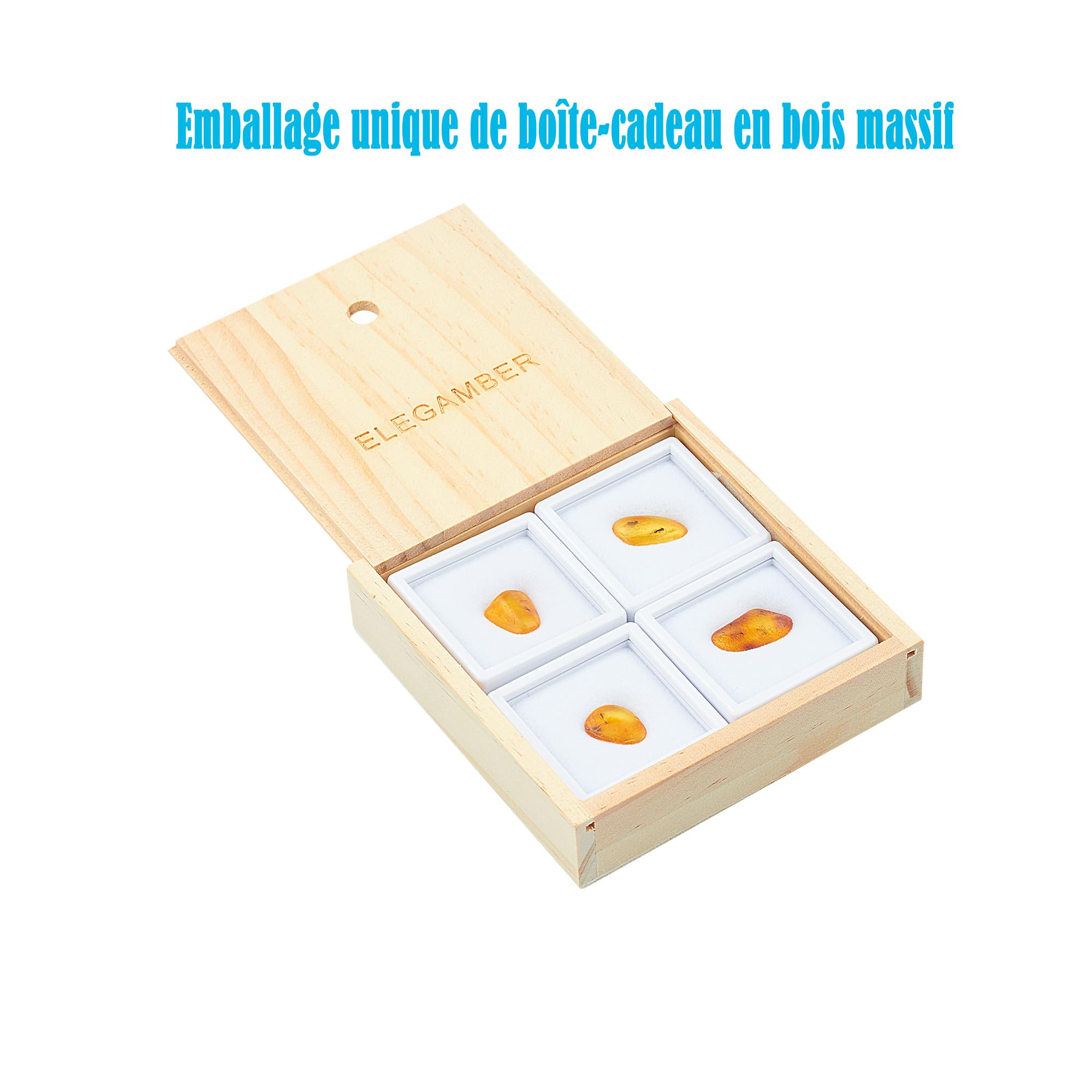 Natural Baltic Ambre avec Insecte - Ensemble de 4 spécimens fossiles d'insectes ambrés - adapté aux Collections et à l'éducation Scientifique (Fossile d'ambre avec Insectes Multiples)