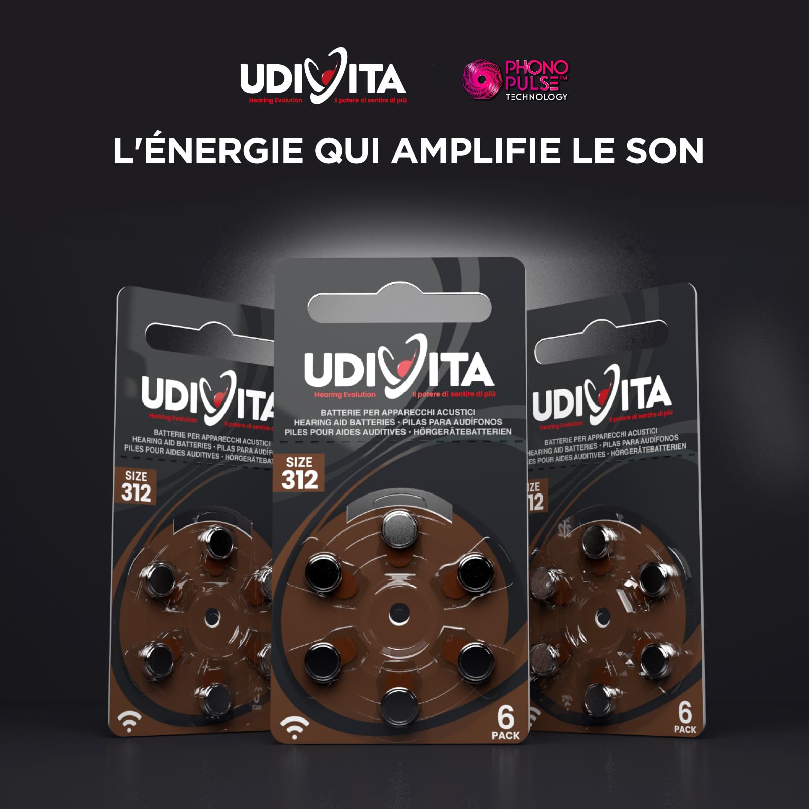 120 Piles Auditives Udivita Type 312