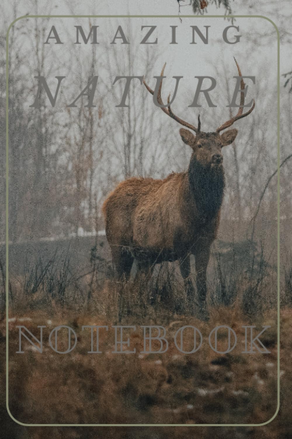 Nature notebook: Beautiful nature notebook
