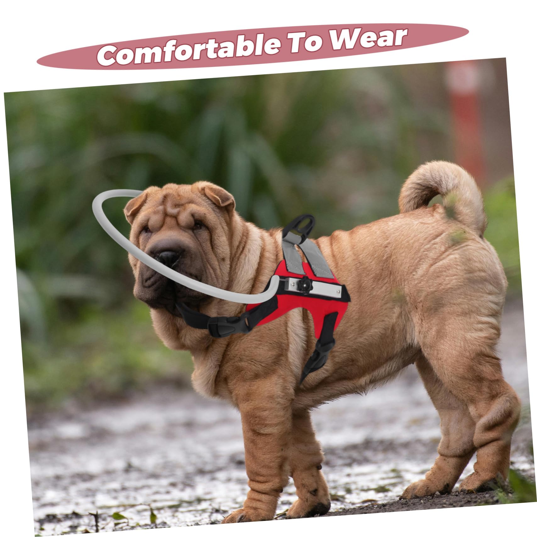Abaodam Collier de Navigation pour Chien Aveugle Rouge Réglable | Protection les Obstacles, Design Confortable et Facile à Utiliser, pour Chien Malvoyant