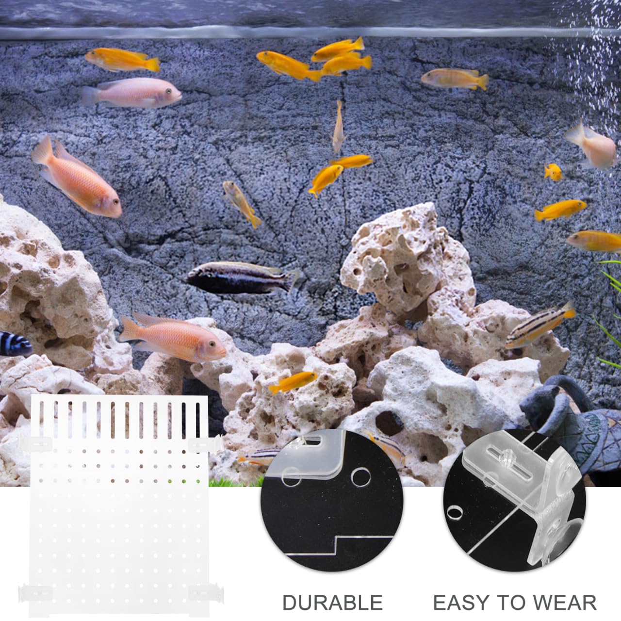 Séparateur Acrylique pour Aquarium Diviseur Transparent avec Ventouses pour Élever Et Séparer Les Poissons Accessoire pour Aquarium