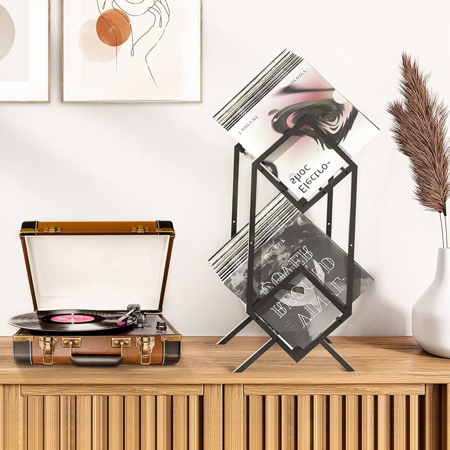 Amazon.com: RUILALIFE 2-Tier-Vinyl-Record-Storage-Holder With