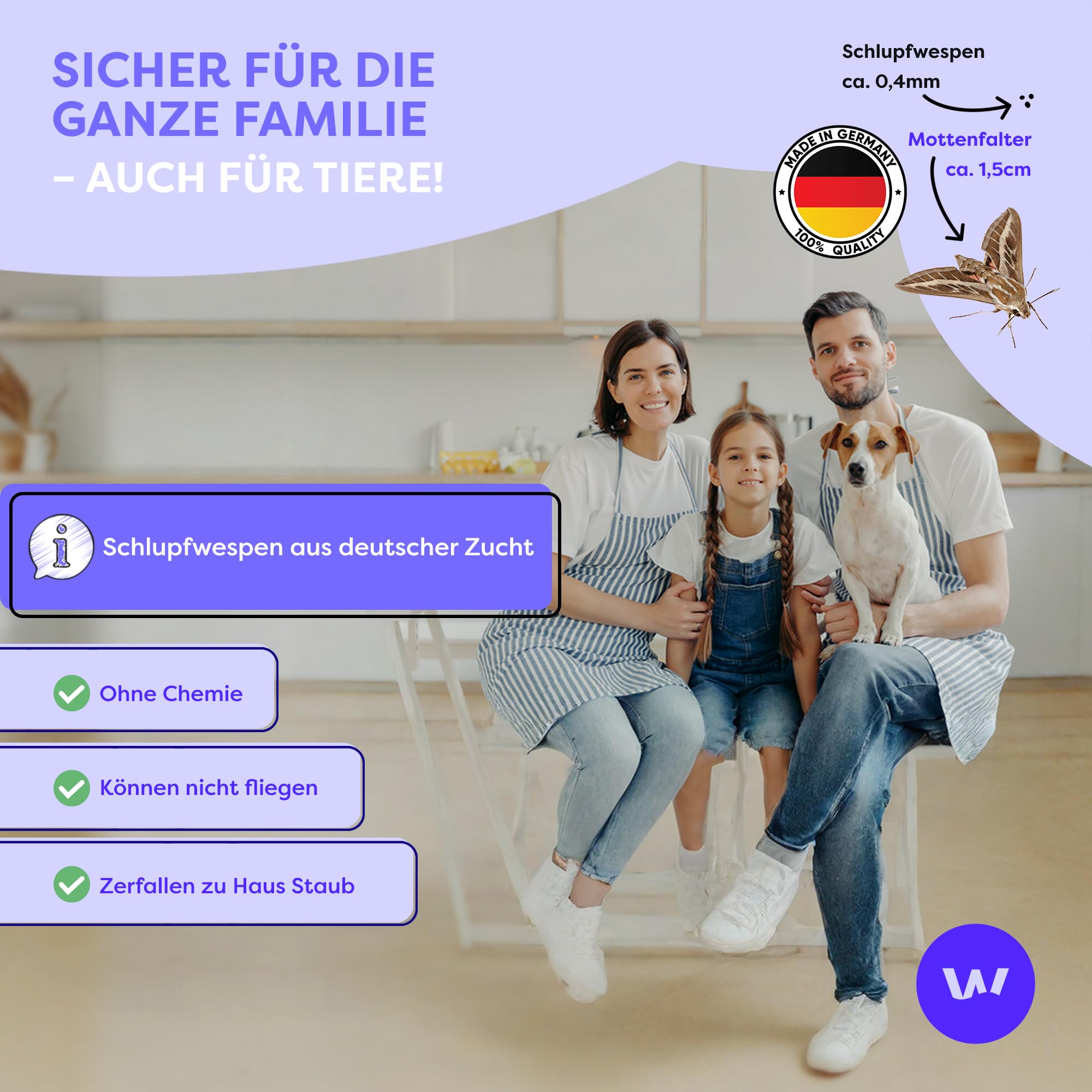 Wolkenfeld Schlupfwespen gegen Lebensmittelmotten – 32 Karten (8 Karte à 4 Lieferungen) – Effektive & Chemiefreie Mottenbekämpfung – Natürliche Alternative zu Mottenfallen, Sprays & Pheromonfallen