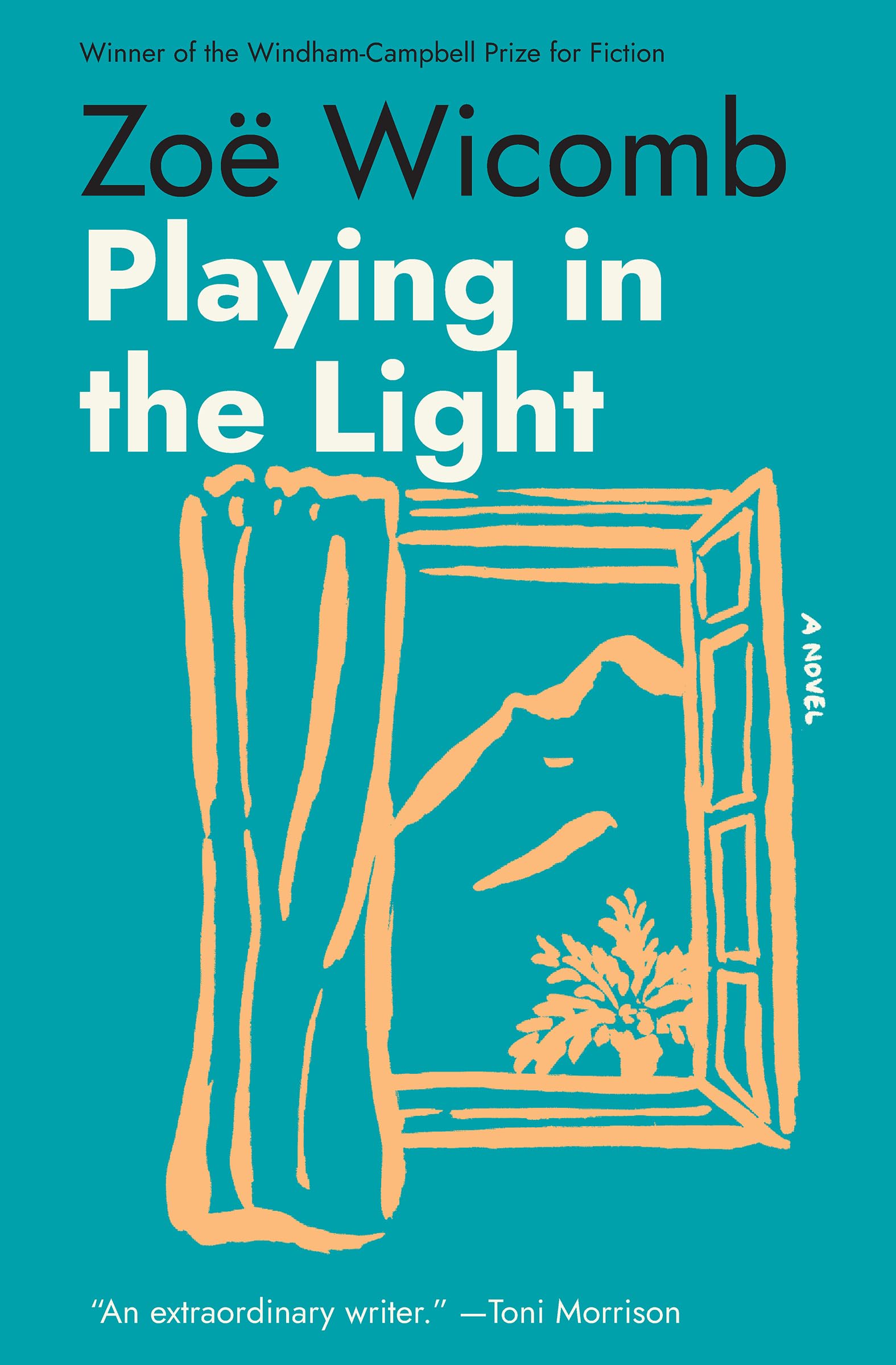 Playing in the Light: A Novel