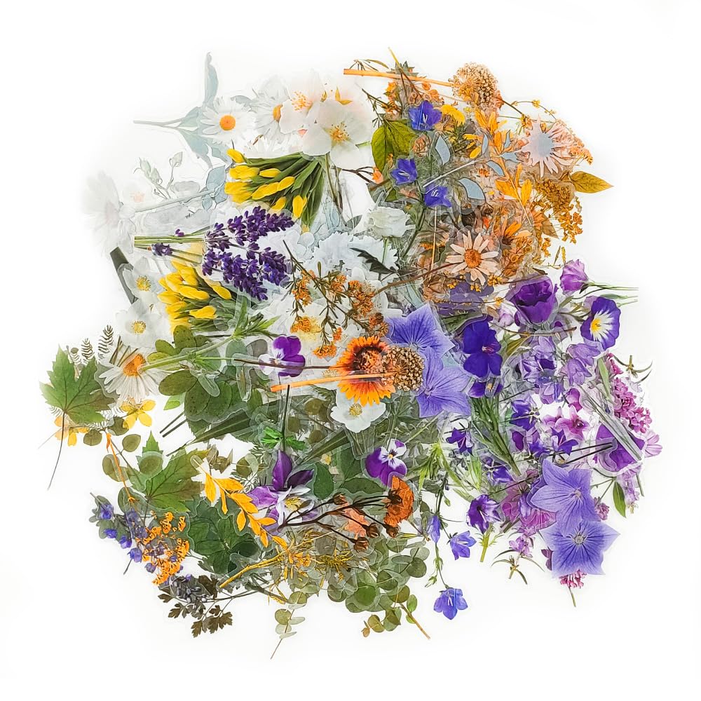 160 Pieces Transparent Botanical Stickers Scrapbooking Supplies Set Transparent Floral Stickers PET Flower Decorative Cards Waterproof Beautiful for Crafts Scrapbooking Crafts Laptop