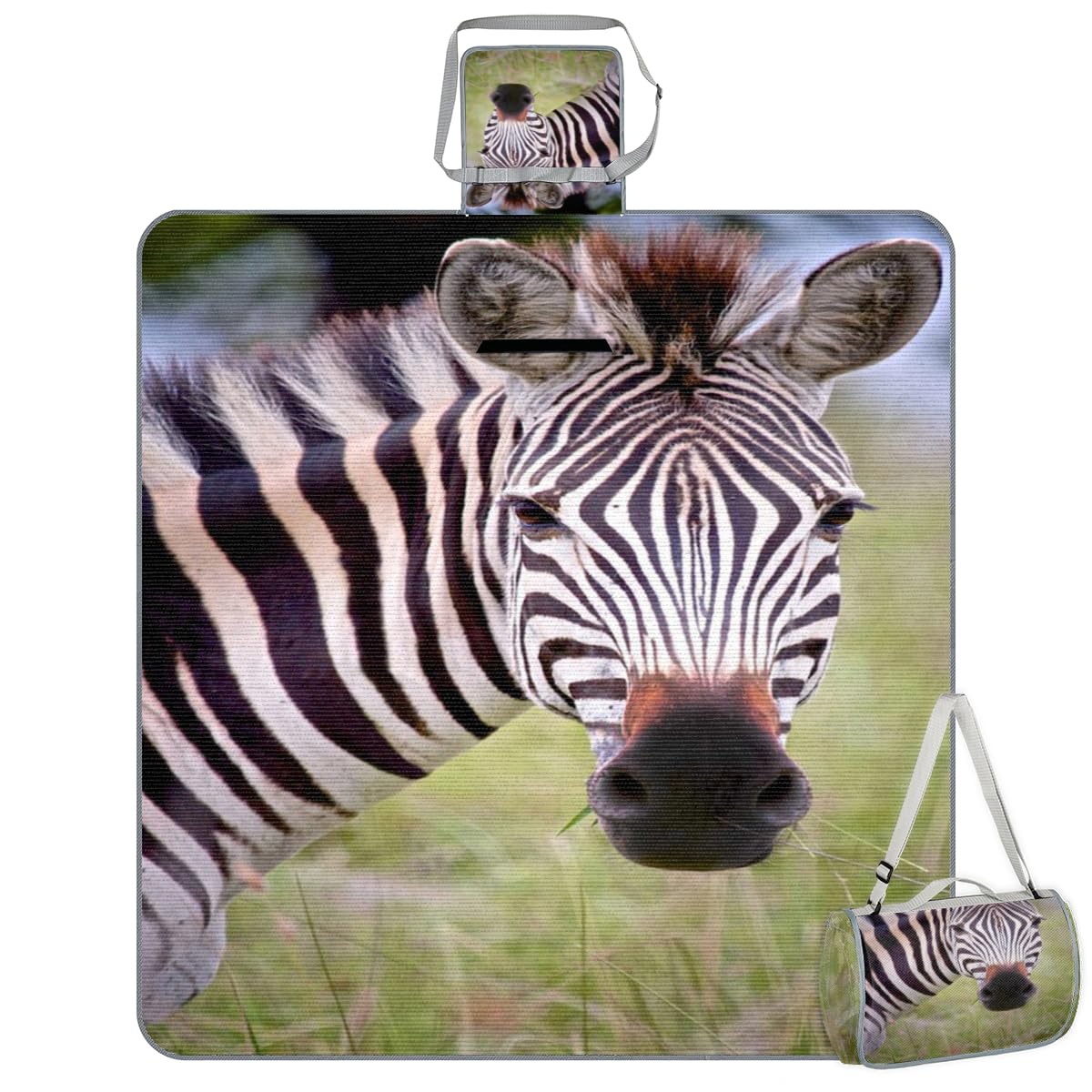 Shimoshe Picnic Blankets 57”x 59”, Wildlife Zebra Waterproof Sandproof Picnic Mat Lightweight Foldable Beach Blanket for Camping Park Grass Beach Outdoor Blanket