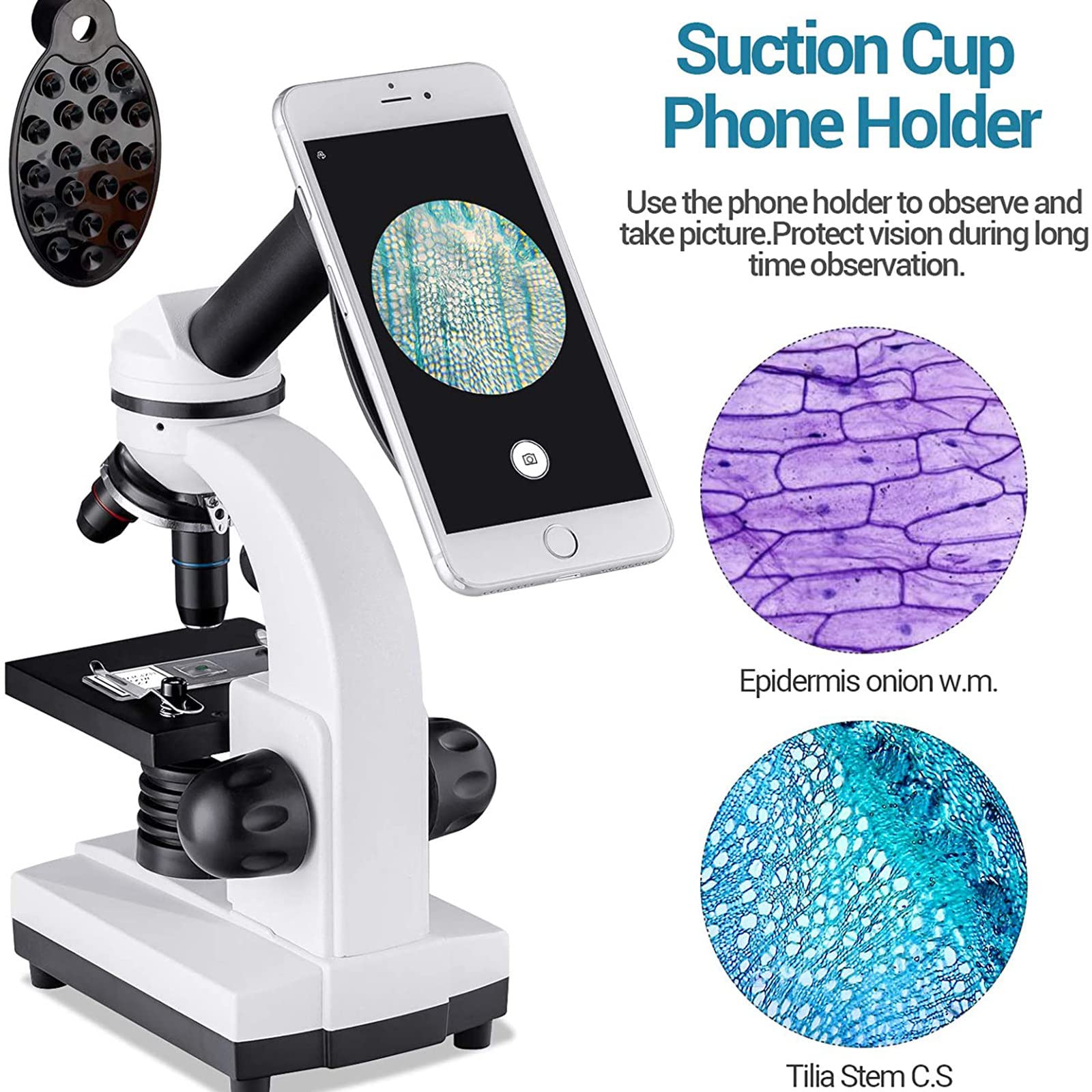 Microscopio biológico para Estudiantes 1600X Microscopio Compuesto Microscopios LED duales con Adaptador de teléfono para Laboratorio de Ciencias Estudio en el hogar