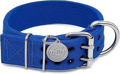 Pit Bull - Collar para perros grandes, nailon resistente, accesorios de acero inoxidable (mediano, azul zafiro)