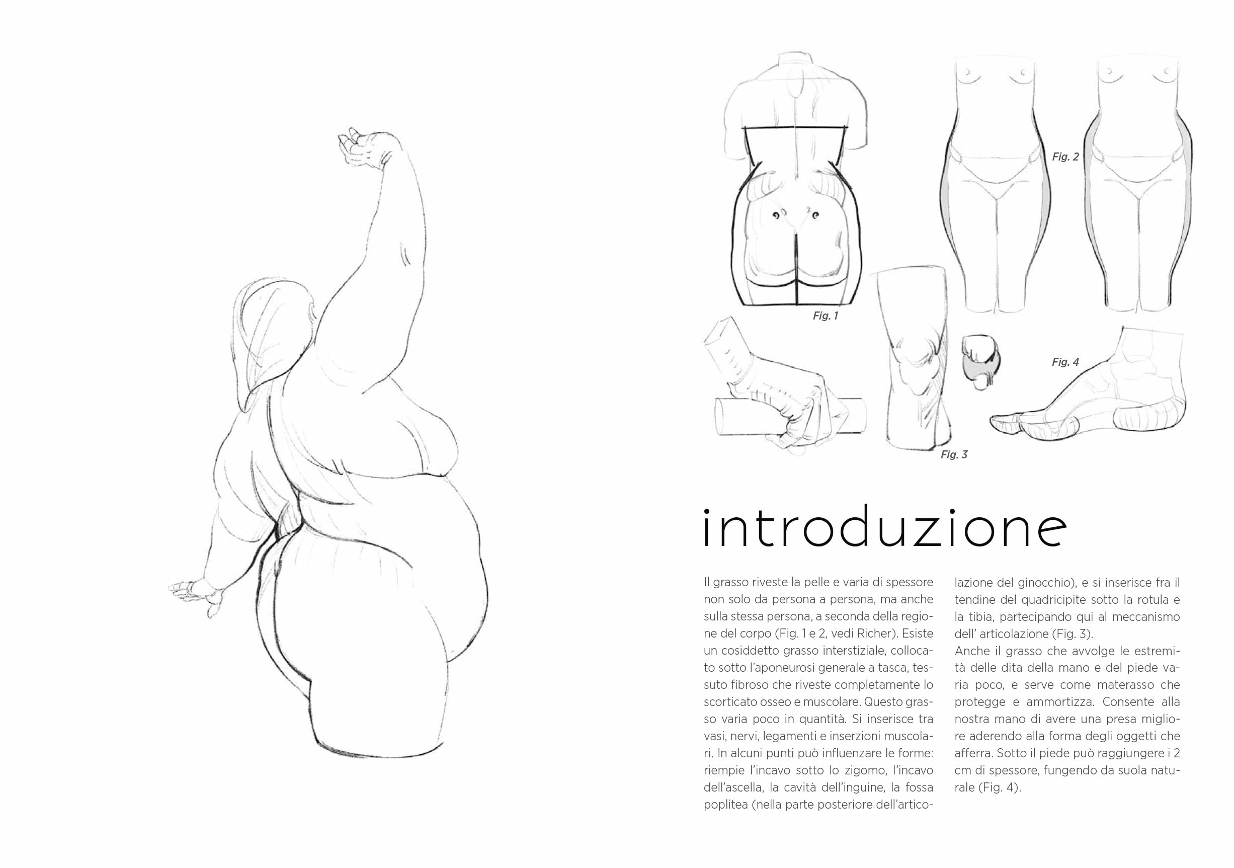 Anatomia Artistica Strutture e Superficie Vol 2