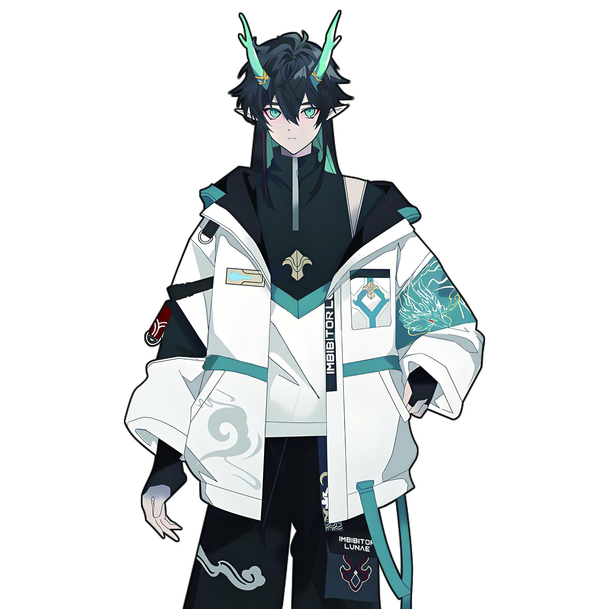 Amazon.co.jp: [RUIBOCOS] 崩壊：スターレイル 丹恒 飲月(たんこう