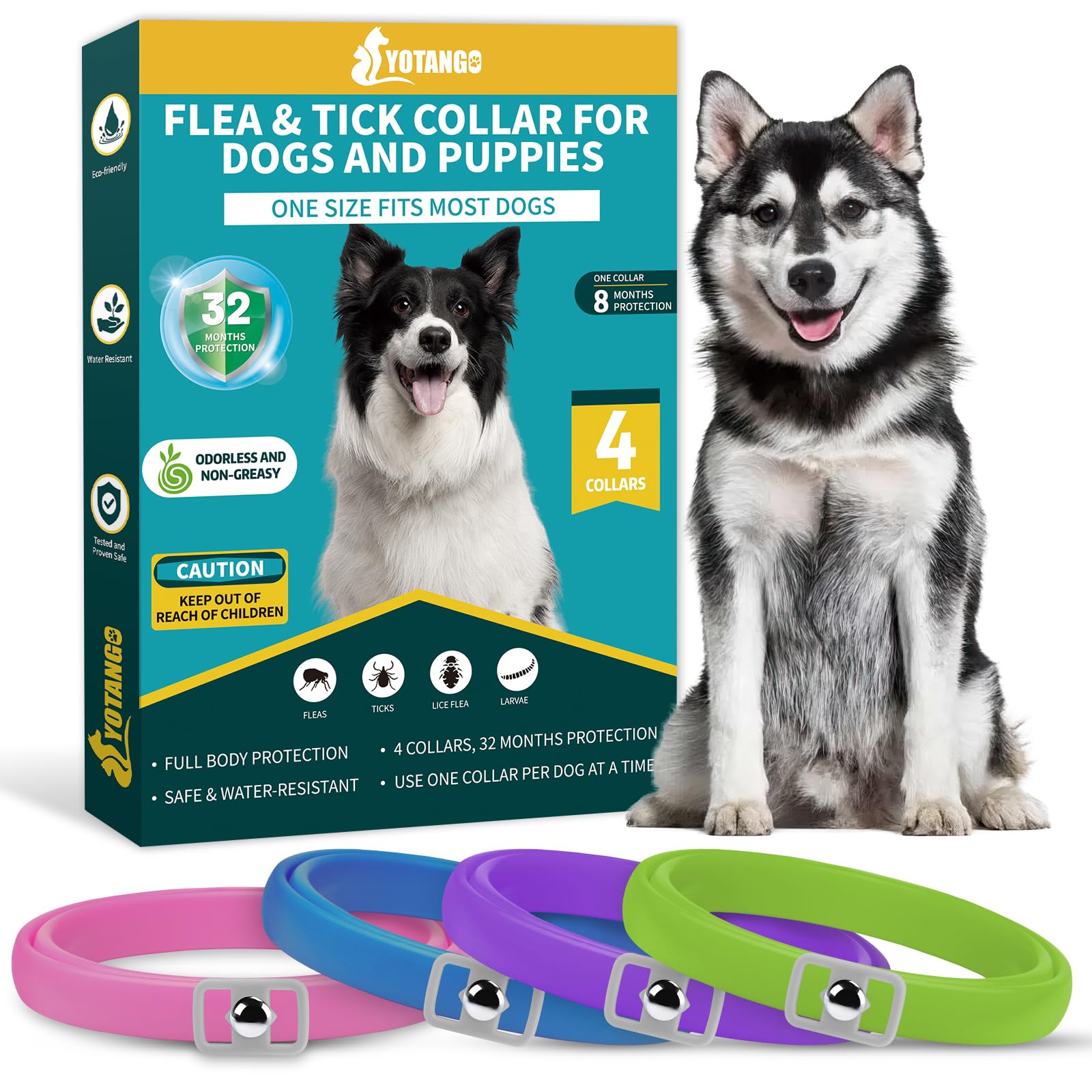 YOTANGO Collares Antiparasitarios para Perros, 32 Meses de Protección, Collar Antipulgas para Perros, 4 Pcs Collar de Pulgas y Garrapatas para Perros de Todos los Tiposs(Rosa, Azul, Violeta, Verde)