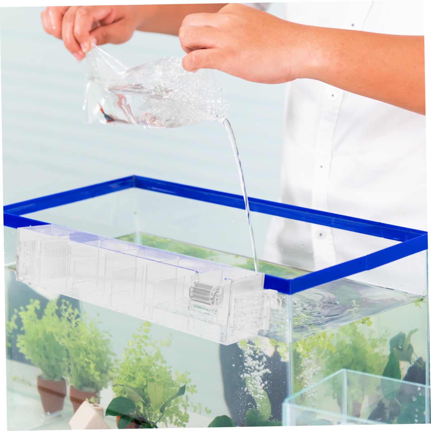 BESPORTBLE 3 Juegos Filtro De Pecera Filtros De Pecera Colador Filtros para Pecera Filtros Limpiadores De Acuarios para Peceras. Filtro De Acuario De Bote De Agua Acrílico