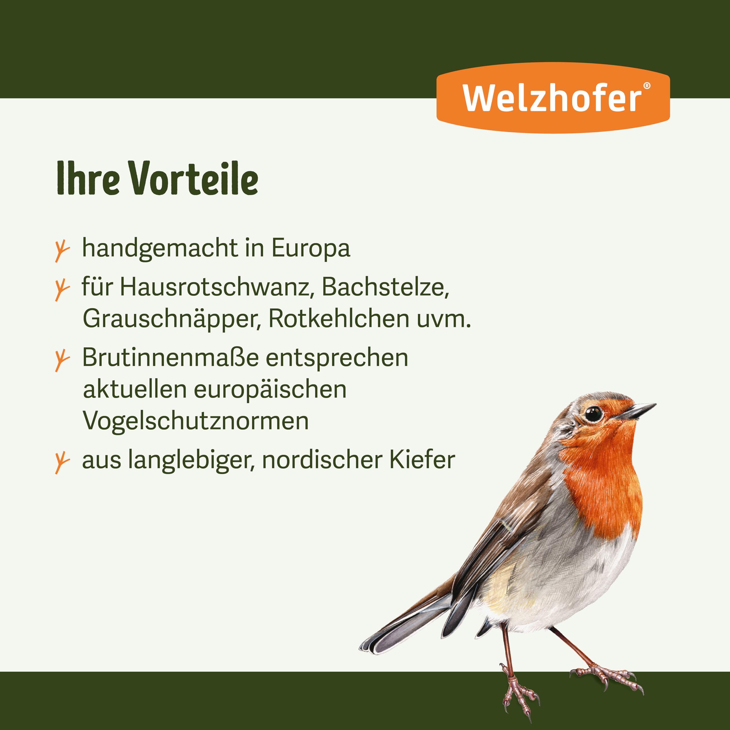 Nistkasten David, Halbhöhle Vogelhaus, handgemacht in Europa, für Hausrotschwänze, Bachstelzen, Grauschnäpper und Rotkehlchen, hochwertiges Kiefernholz