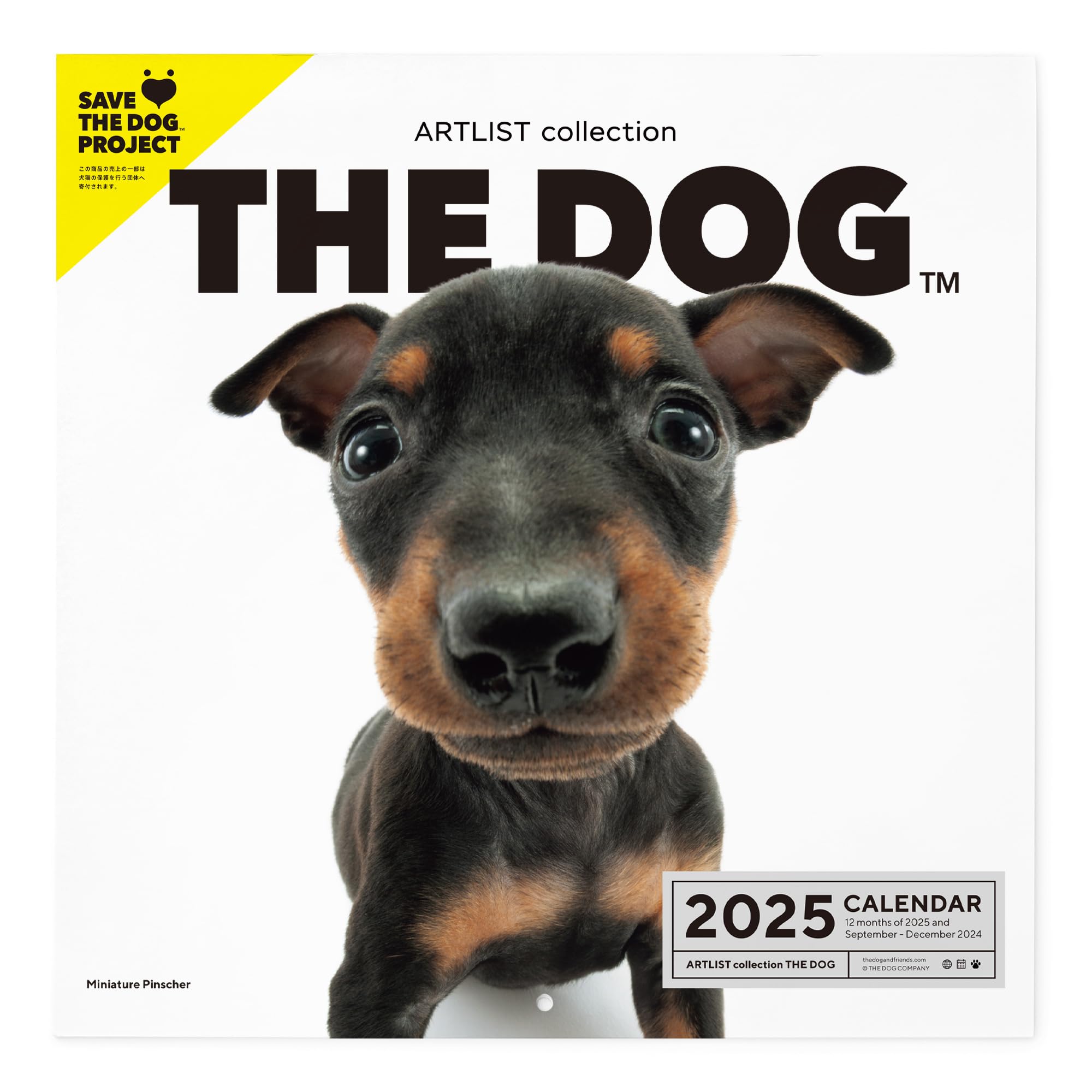 Amazon | THE DOG カレンダー 2025 壁掛け 大判サイズ [ミニチュア