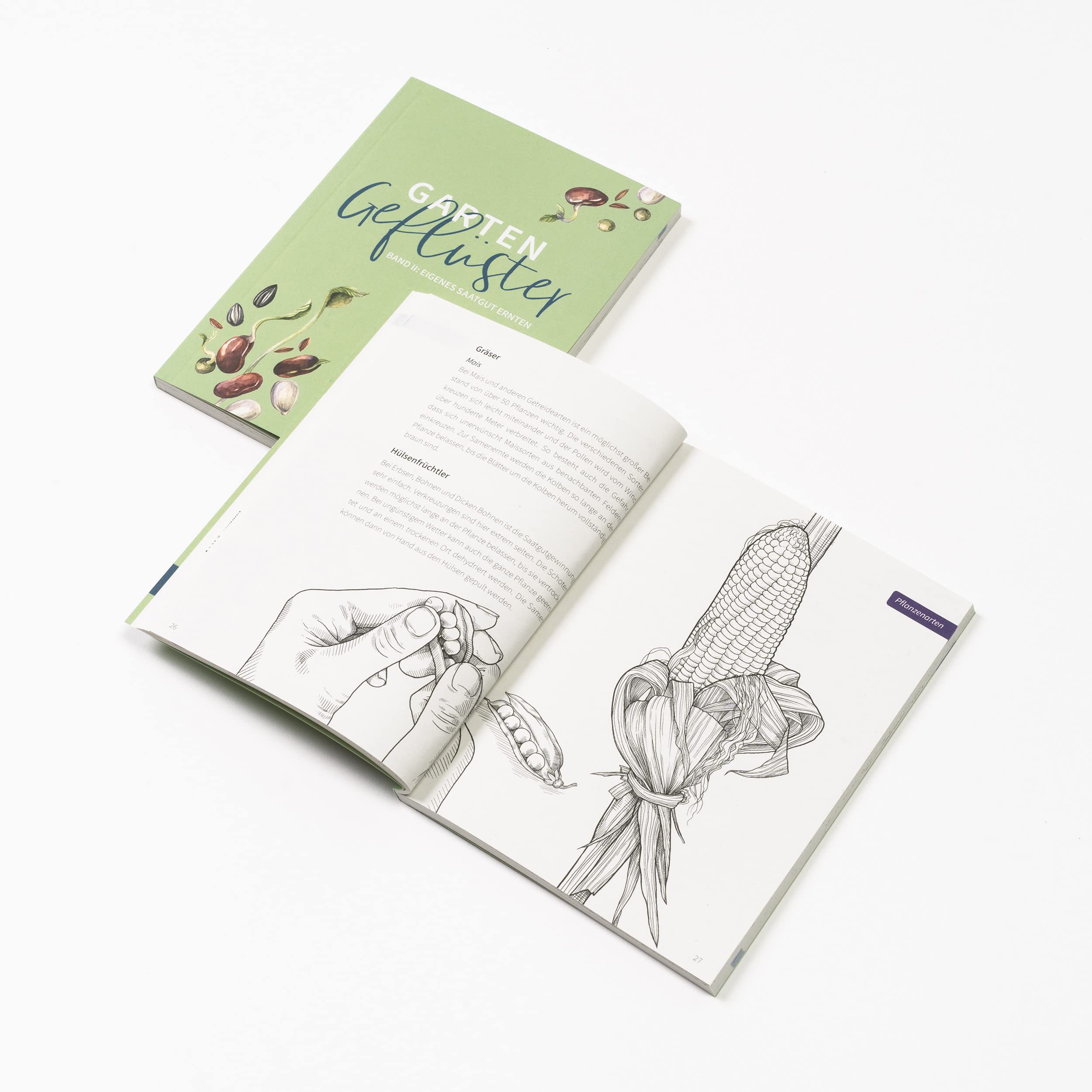 Coffret de multiplication de graines bio pour tous les jardiniers*en herbe, avec 12 variétés sélectionnées et éprouvées du monde des fleurs - Explosion de fleurs sauvages.