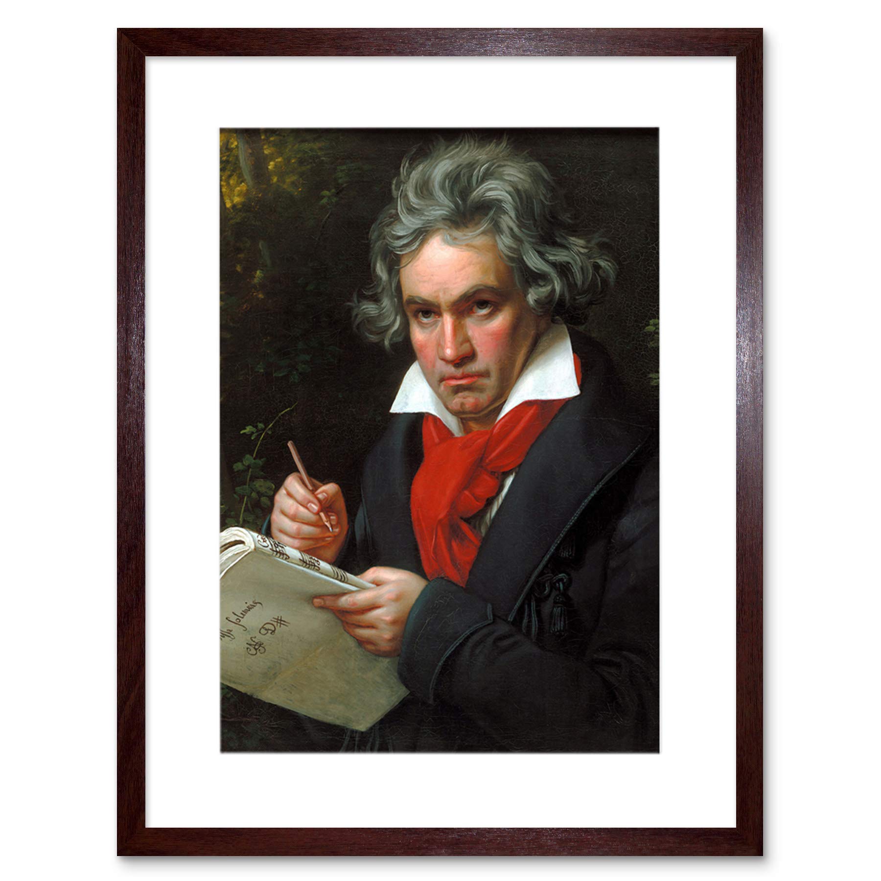 Wee Blue Coo Stieler Composer Ludwig Van Beethoven Framed Wall Art Print