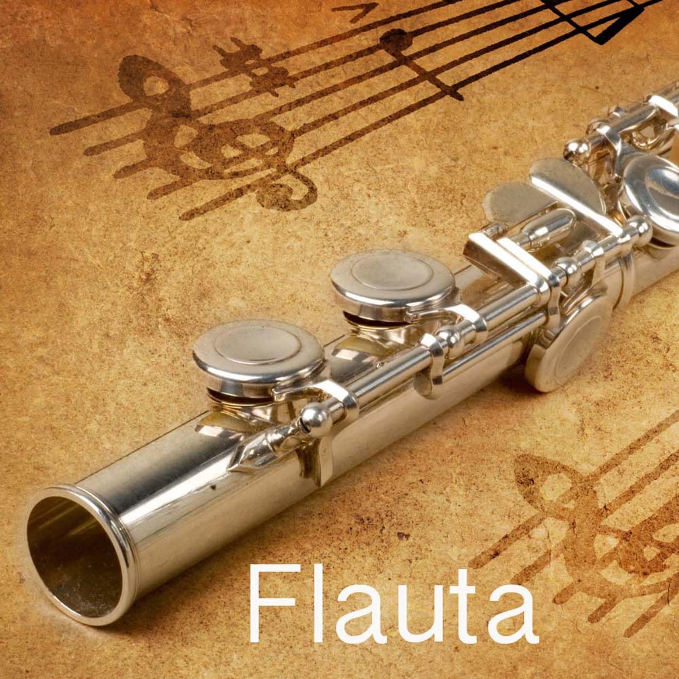 Flauta Orchestra 10
