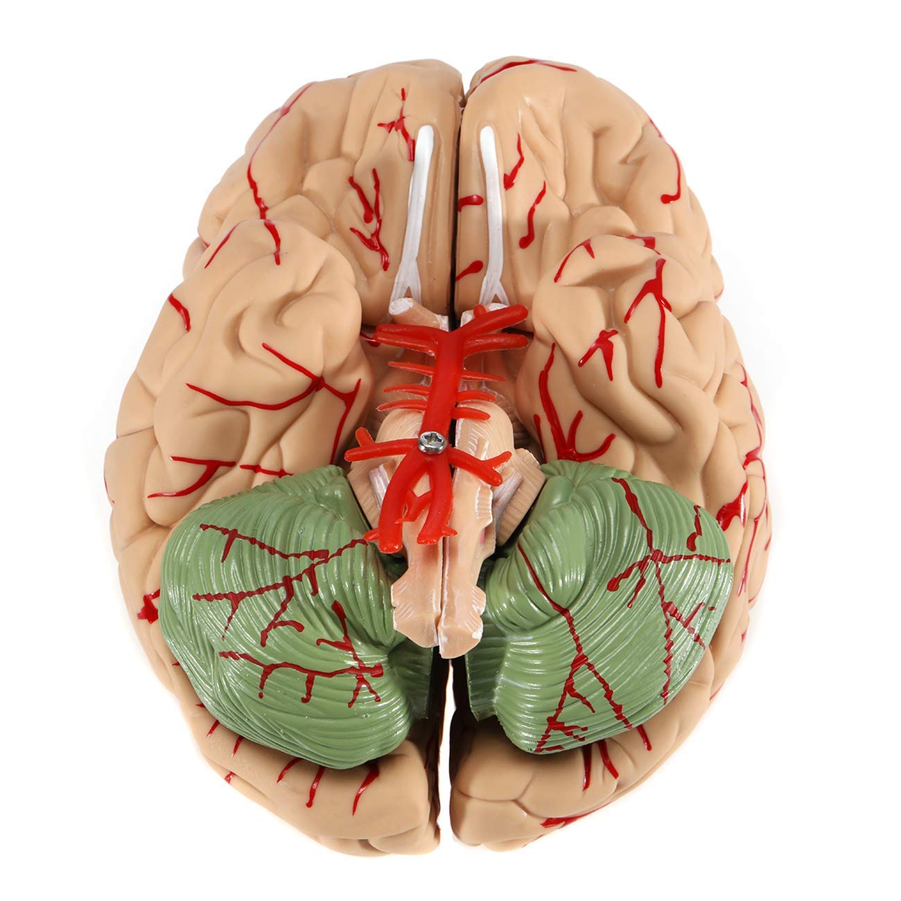 best vitamin for brain fog