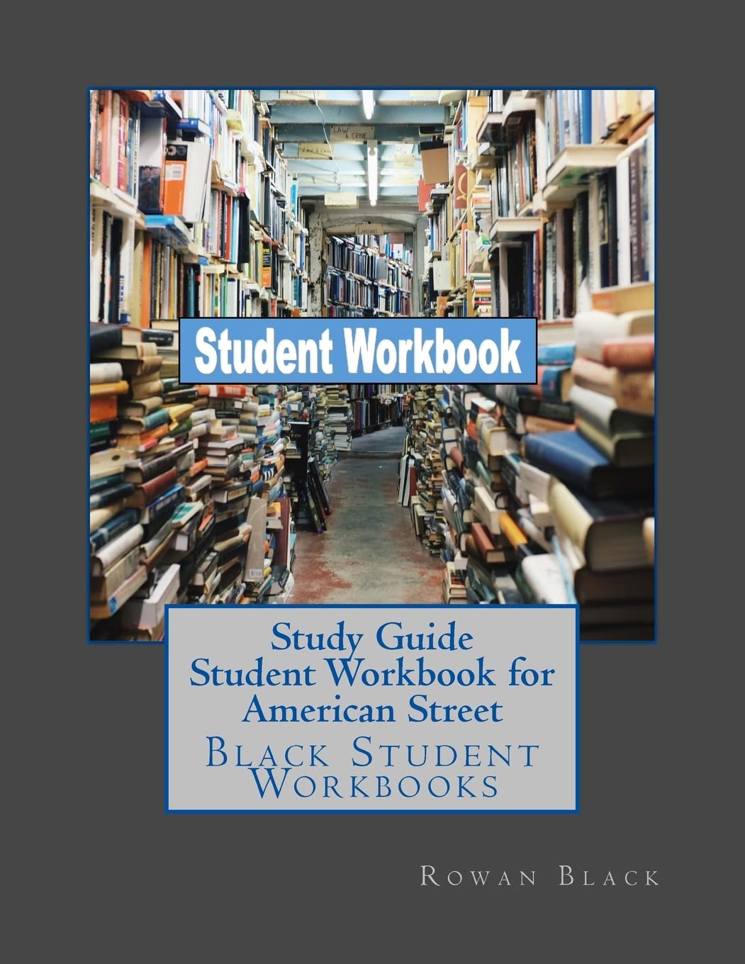 Study Guide Student Workbook for American Street: Black Student Workbooks
