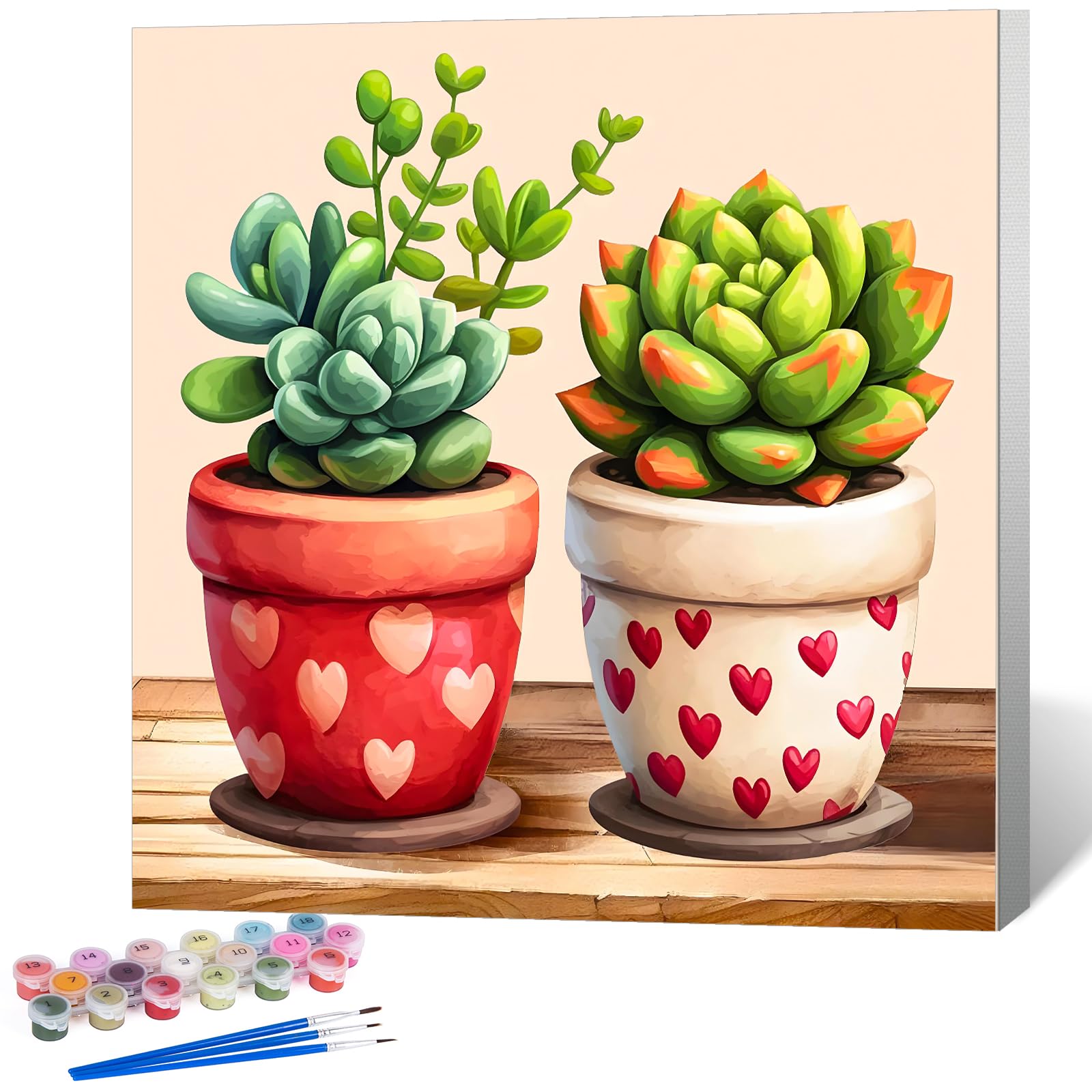 Paint by Numbers for Adults with Frame, Succulent Plant Design, 10x10 Inch