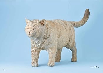 はしもとみお 猫を彫る | はしもと みお |本 | 通販 | Amazon