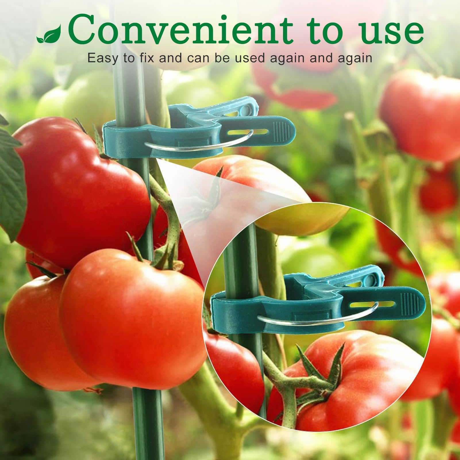 Pflanzenclips, Wiederverwendbare Pflanzenklammern Groß, Klammern für Pflanzen, Tomaten Klammern, Tomatenclips Blumenklammern, Pflanzen Clips für Unterstützen und Halten Garten Pflanzen Gemüsefrucht
